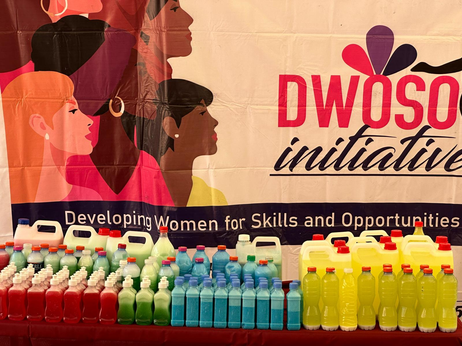 DWoSO skills training session